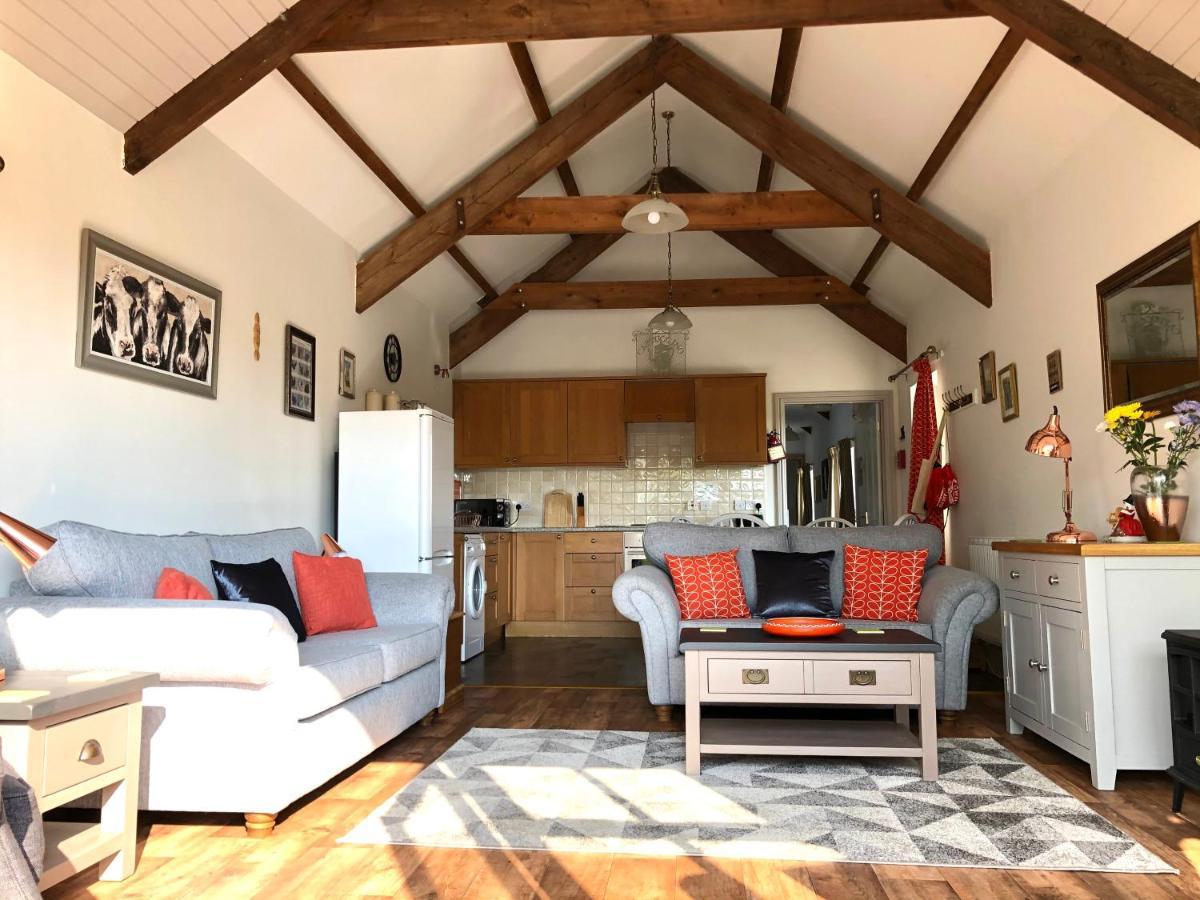 Red Kite Cottage Carmarthen Zewnętrze zdjęcie