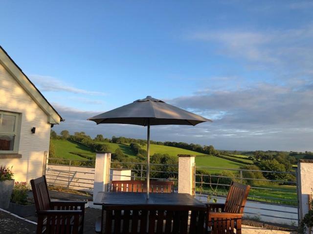 Red Kite Cottage Carmarthen Zewnętrze zdjęcie