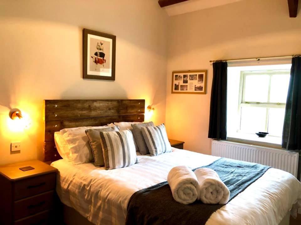 Red Kite Cottage Carmarthen Zewnętrze zdjęcie