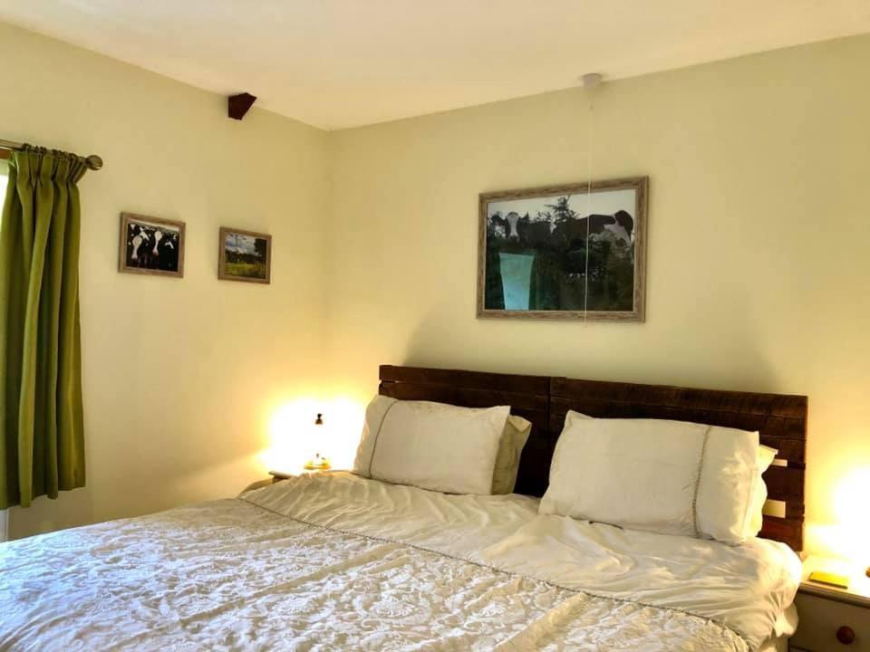 Red Kite Cottage Carmarthen Zewnętrze zdjęcie