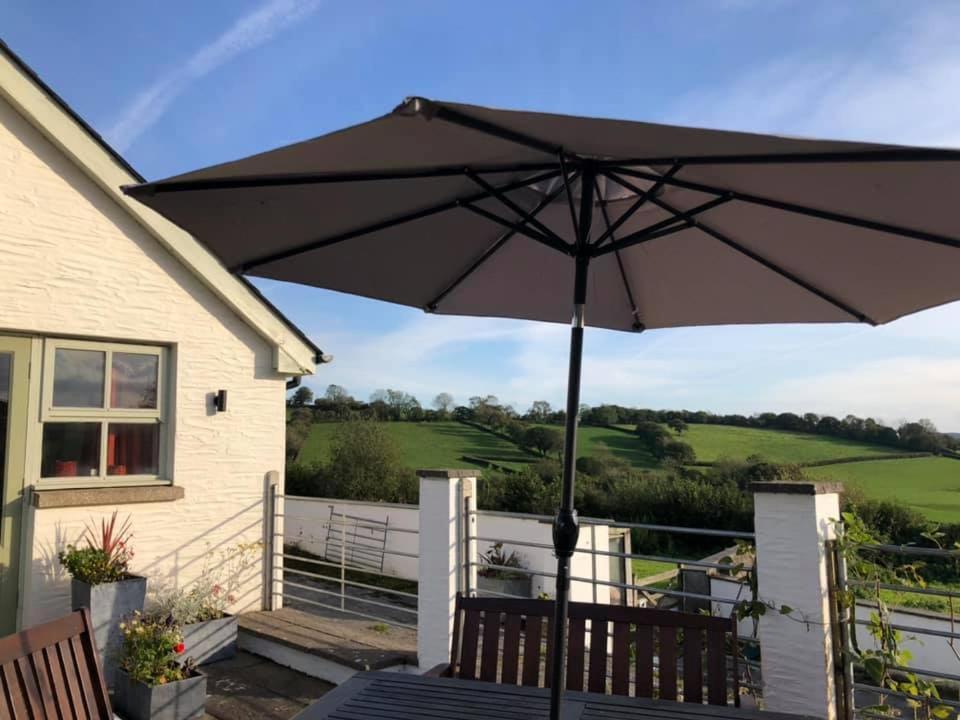 Red Kite Cottage Carmarthen Zewnętrze zdjęcie