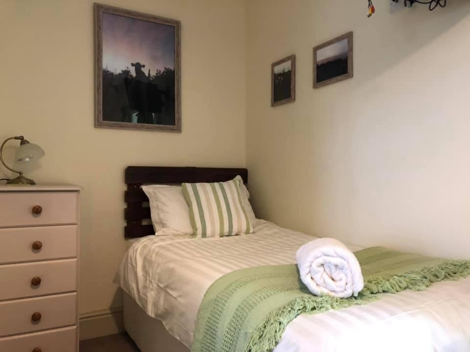 Red Kite Cottage Carmarthen Zewnętrze zdjęcie