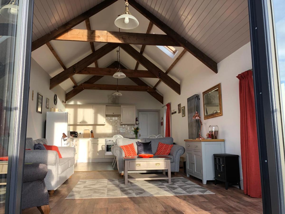 Red Kite Cottage Carmarthen Zewnętrze zdjęcie