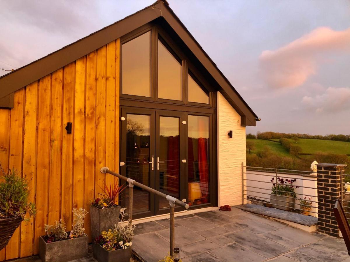 Red Kite Cottage Carmarthen Zewnętrze zdjęcie