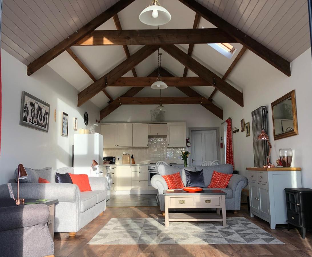 Red Kite Cottage Carmarthen Zewnętrze zdjęcie