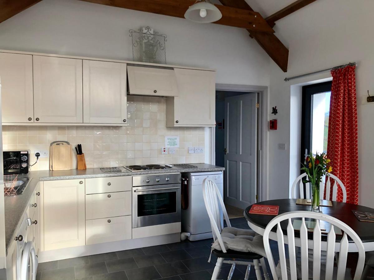 Red Kite Cottage Carmarthen Zewnętrze zdjęcie