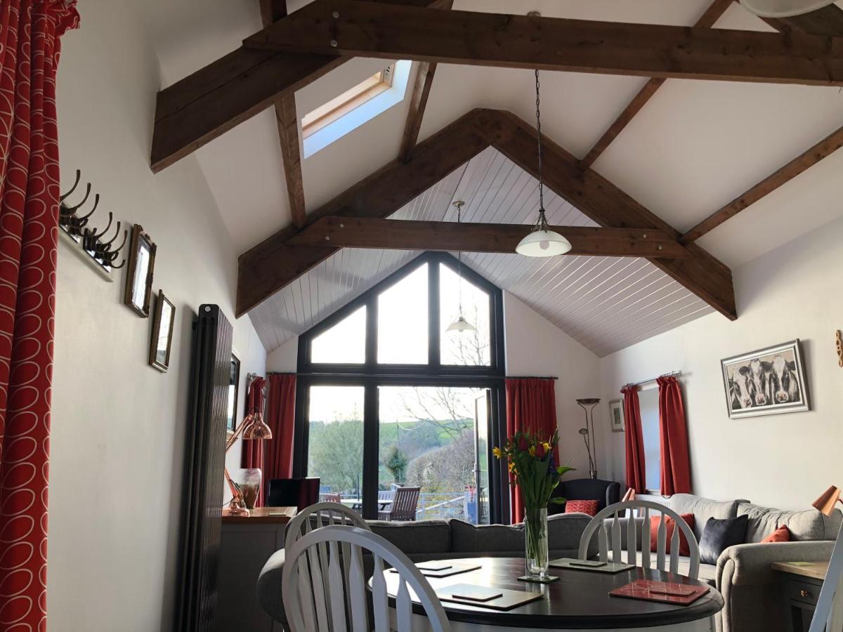 Red Kite Cottage Carmarthen Zewnętrze zdjęcie
