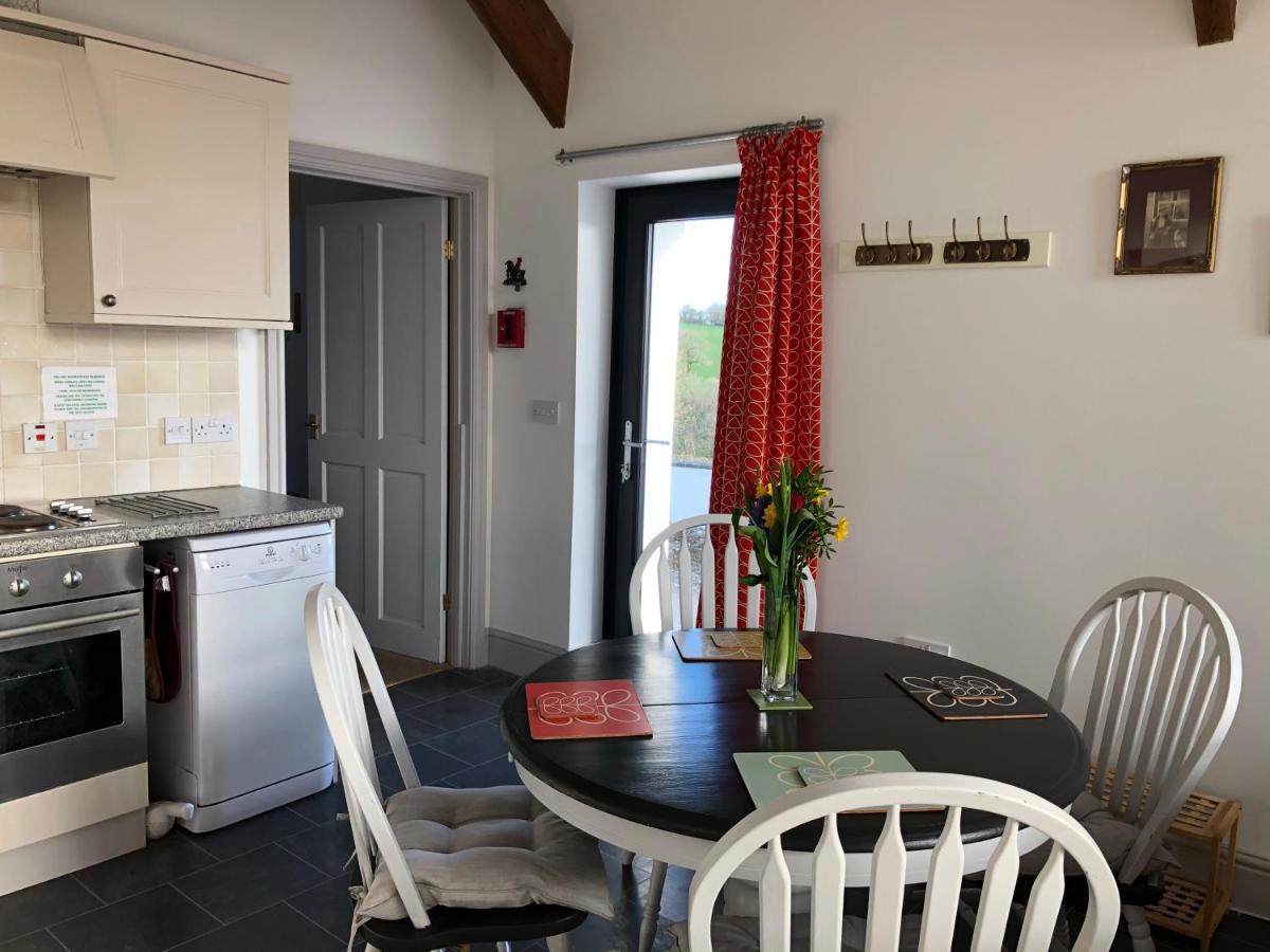 Red Kite Cottage Carmarthen Zewnętrze zdjęcie