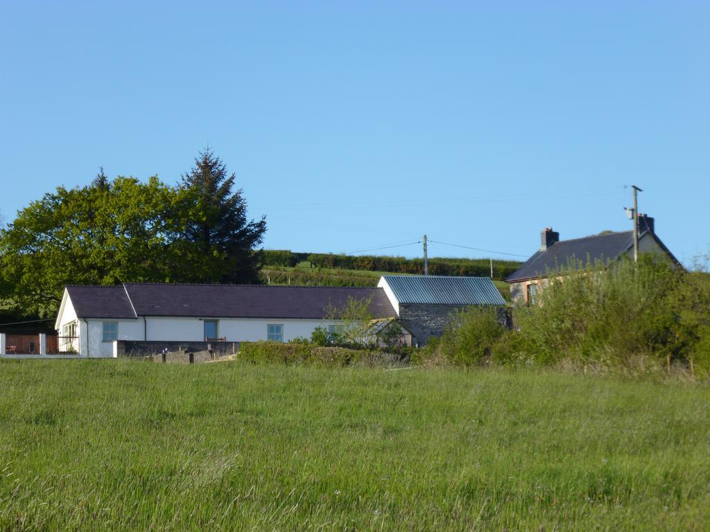 Red Kite Cottage Carmarthen Zewnętrze zdjęcie