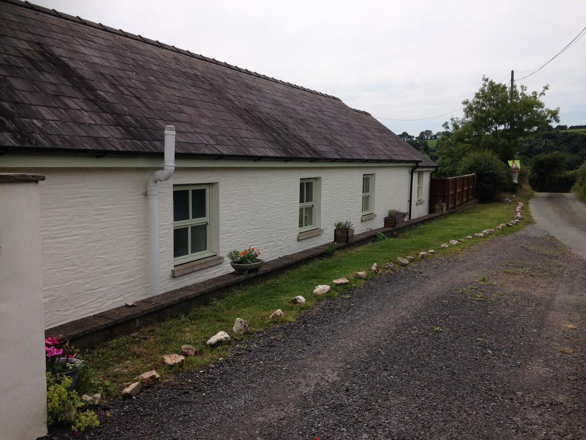 Red Kite Cottage Carmarthen Zewnętrze zdjęcie